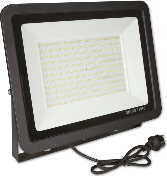 Eurolite LED IP FL-10 SMD red 51914901 LED-Außenstrahler 10W