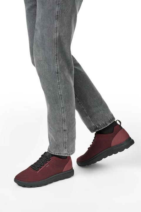 Image du produit Geox Spherica (44)