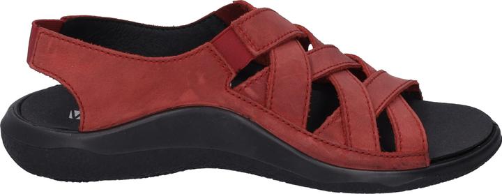 Actual product image Westland 18306-348 (39)