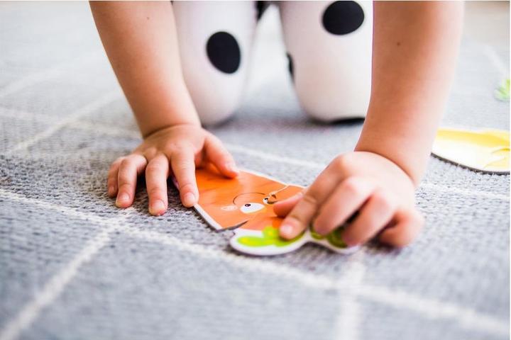 Produktbild Dodo Transportmittel (2 Teile)