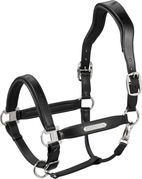 Eskadron Stallion