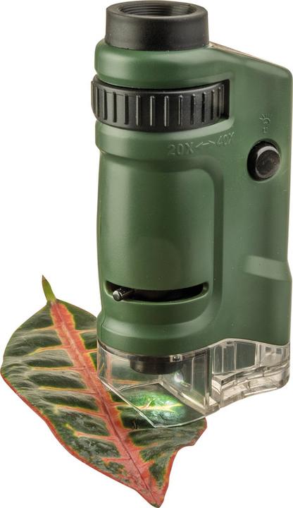 Image du produit Carson Kids Microscope avec LED MicroBrite