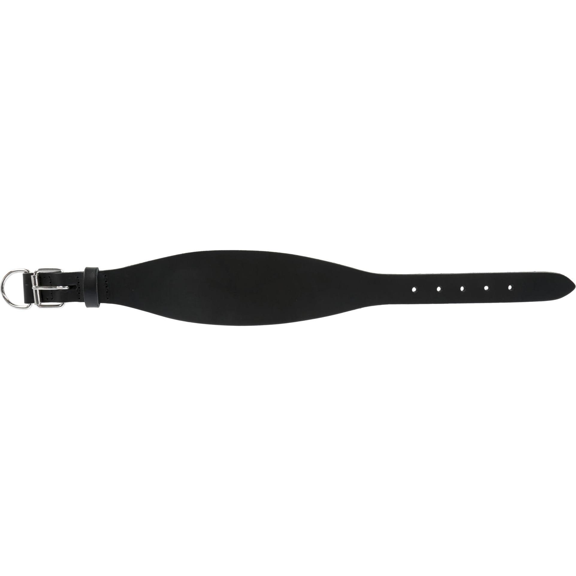 Thumbnail - Kerbl MEXICA Halsband schwarz für Windhunde, 27-35cm x 1,5cm (27, 28, 29, 30, 31, 32, 33, 34, 35, Hund), Halsband + Lein...