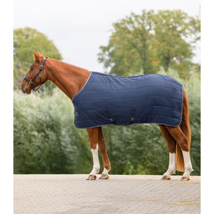 Produktbild Waldhausen Economic 100g (145 cm)