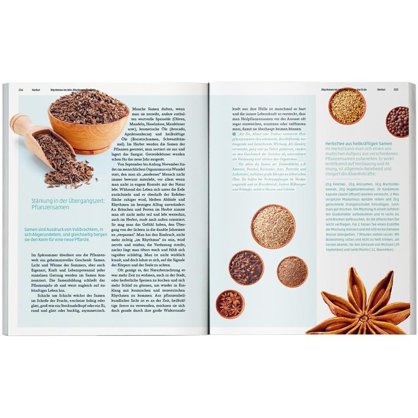 Thumbnail - Ars Herbaria, Ratgeber von Karin Mecozzi