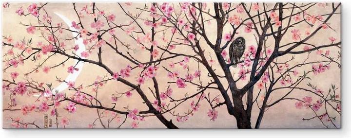 Image du produit Trenddeko Coleman - Primavera - Panorama (40 x 100 cm)