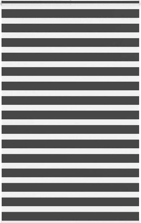 Produktbild vidaXL Zebra-Jalousie (150 x 230 cm)