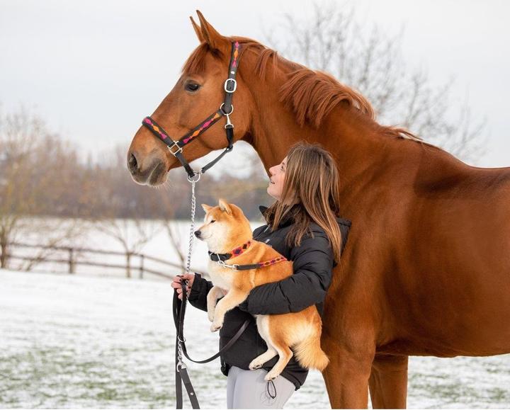 Produktbild HFI Master Polo