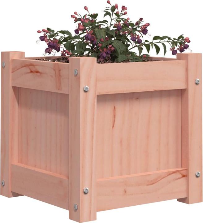 Natürliches Douglasie