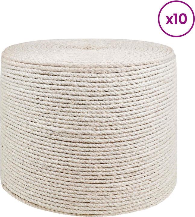 Image du produit vidaXL Natürliches Seil (100 m)