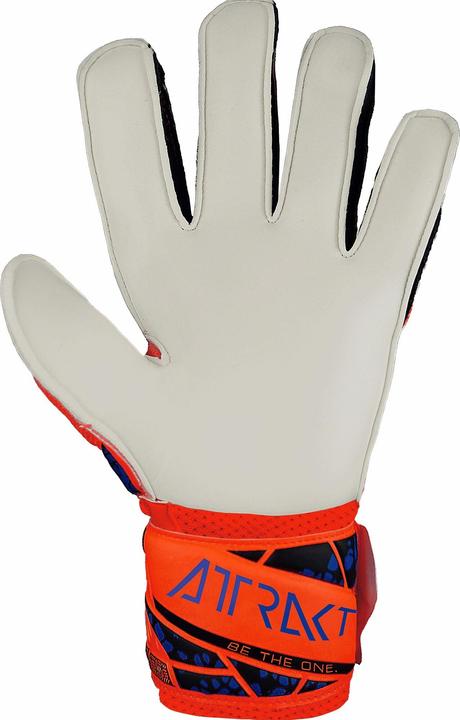 Produktbild Reusch torwarthandschuhe kind attrakt solid (6.5)