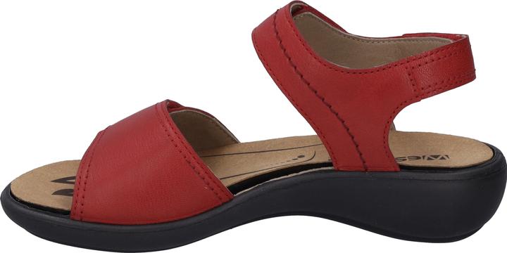 Actual product image Westland 16779-201 (39)