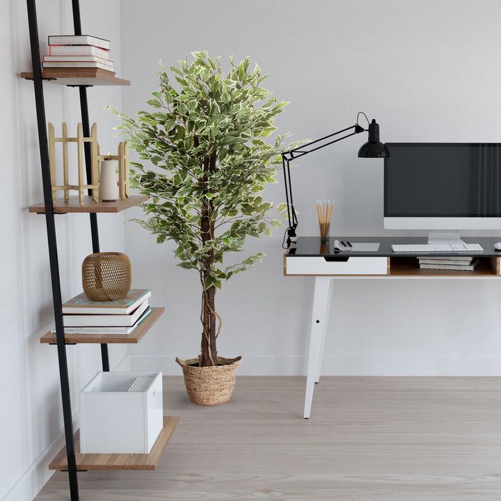 Produktbild Bümö Kunstpflanze Birkenfeige (ficus) (165 cm)