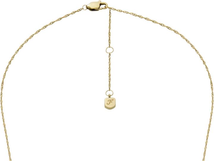 Image du produit Fossil Jewelry Halskette (Acier inoxydable, 80 - 85 cm)