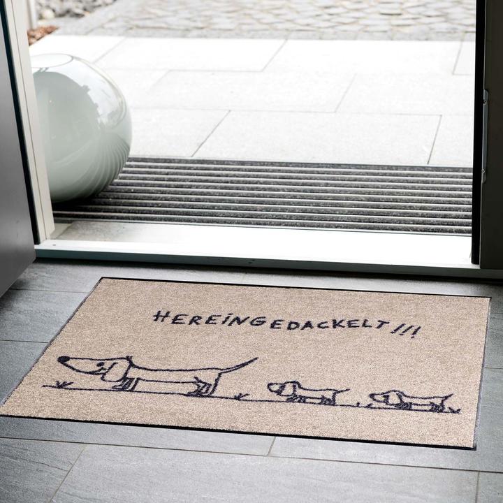 Immagine prodotto Salonloewe Quiingedackelt Famiglia di bassotti 50x75 (50 x 75 cm)