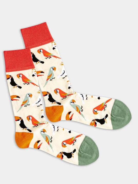 DillySocks Voliera di sabbia