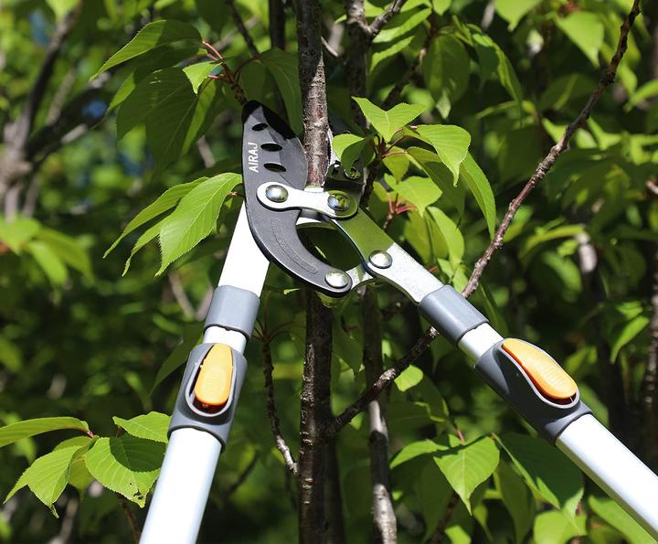 Produktbild Airaj Teleskop-Astschere