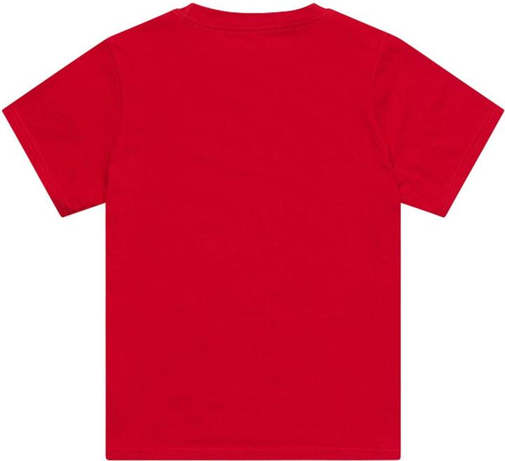 Actual product image Troy Lee Designs T-Shirt, Signature, team red, youth M (M)