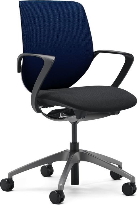 Immagine prodotto Giroflex 313-8039