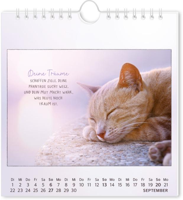 Actual product image Postkartenkalender 2026 Traumtage (16 x 17 cm)