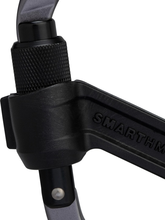 Actual product image Mammut Smart HMS 2.0 Screwgate