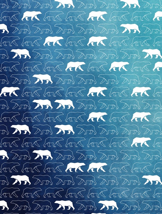 Produktbild Décopatch Foilpapiere Weihnachten Arkt (30 x 40 cm, 960 x)