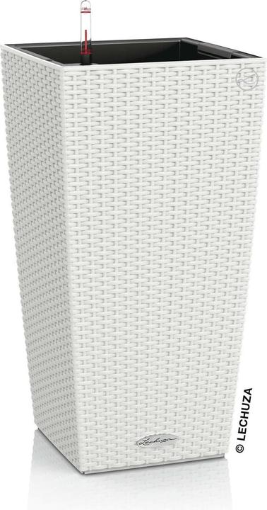 Immagine prodotto Lechuza Cubico Cottage (29.50 cm)