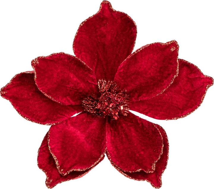 Produktbild pfister Celebration