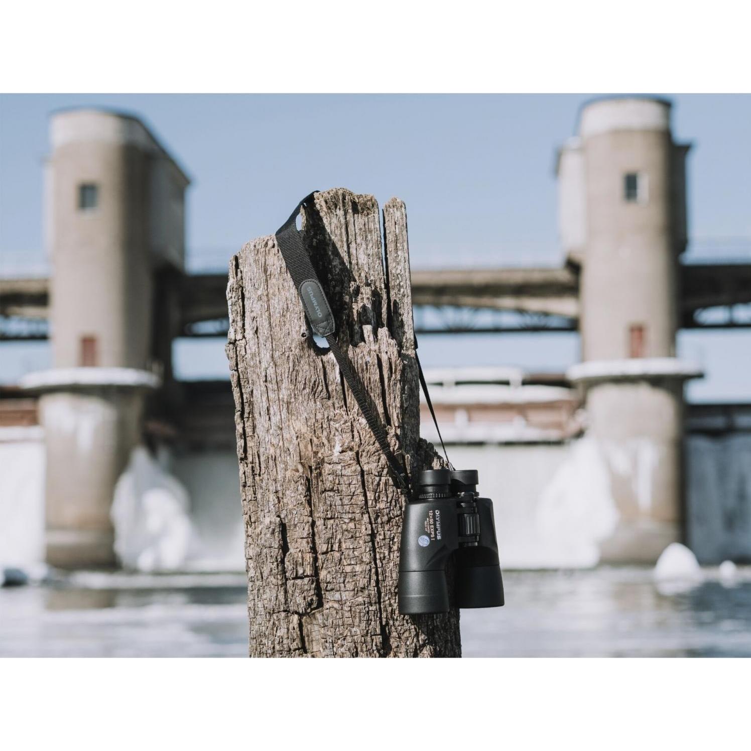 Thumbnail - Olympus, Fernglas, (12 x, 50 mm)