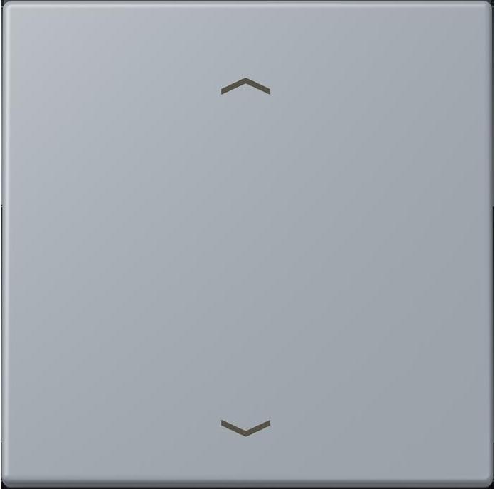 Actual product image JUNG Control button