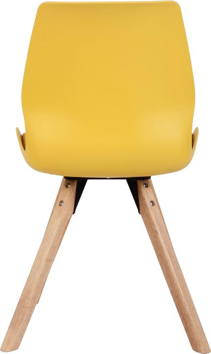 Actual product image CLP Luna