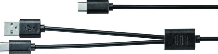 Image du produit Coast Câble de charge USB-C Splitter