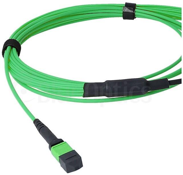 Produktbild BlueOptics LWL MTP/APC-8xLC/UPC Breakout Kabel OM5 2 Meter (2 m)