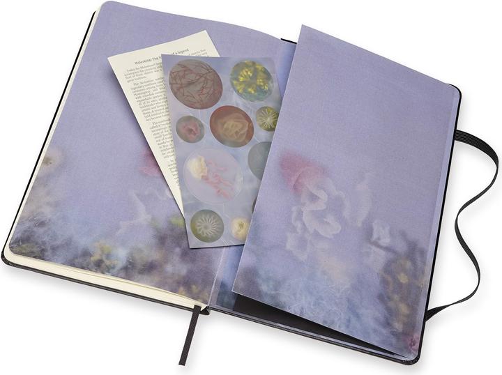 Image du produit Moleskine Sonia Alins (13 x 21 cm, Blanc, Couverture rigide)