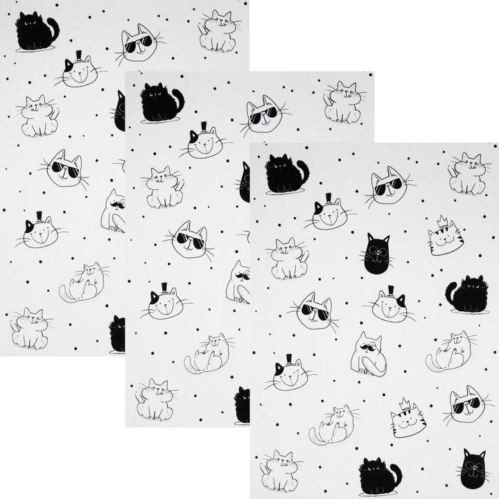 Image du produit Kracht Cool Cat (70 x 50 cm)