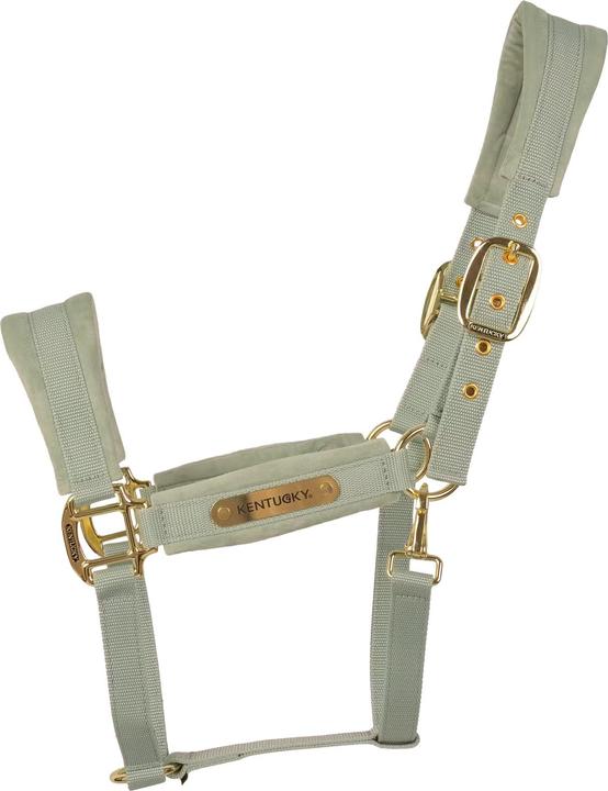 Immagine prodotto Kentucky Horsewear Cavezza in nylon