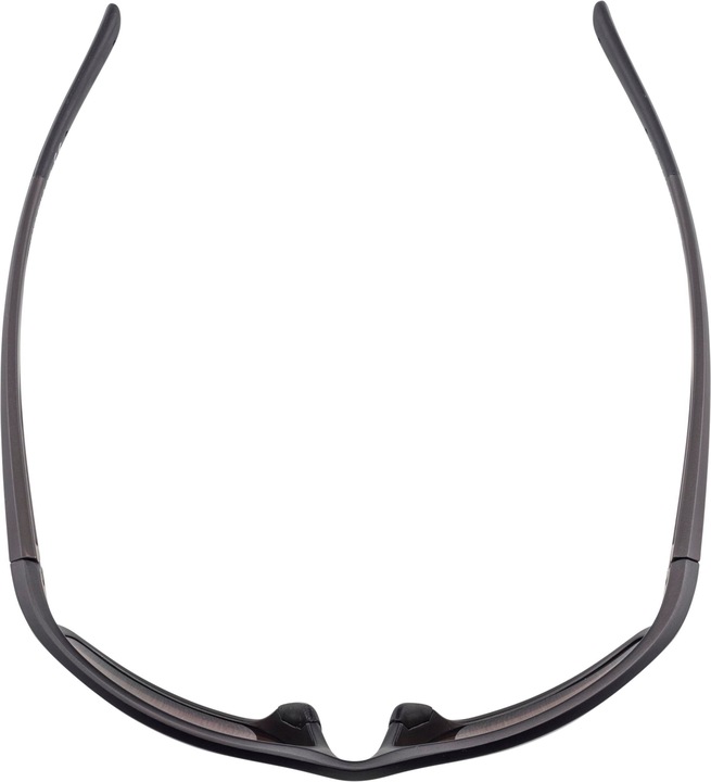 Actual product image ALPINA SPORTS Defey (Black, Brown)