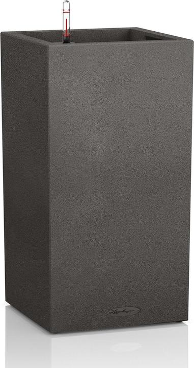 Noir graphite