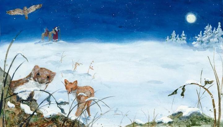 Image du produit Die kleine Elfe feiert Weihnachten (Allemand, Daniela Thresher, 2017)