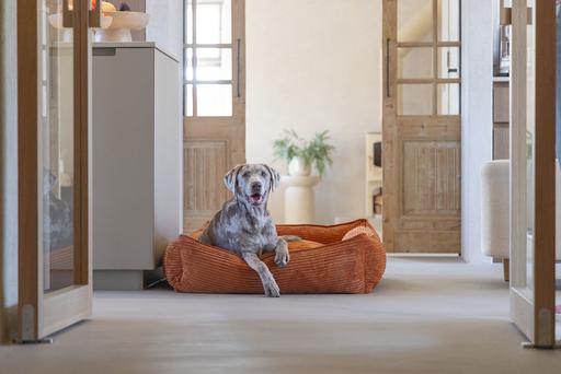 Immagine prodotto Designed by Lotte Liegebett Ribbed (Cane)