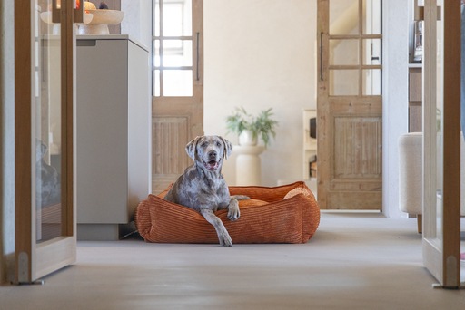 Immagine prodotto Designed by Lotte Liegebett Ribbed (Cane)