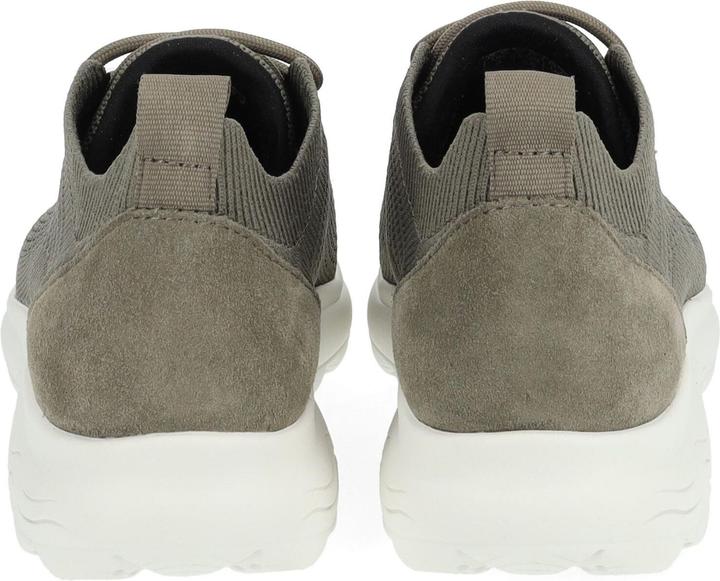 Actual product image Geox Sneaker (38)