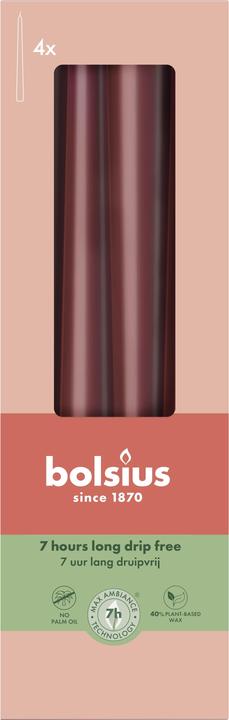 Actual product image Bolsius Pointed candles set of 4 25x2,5cm bordeaux (4 pcs.)