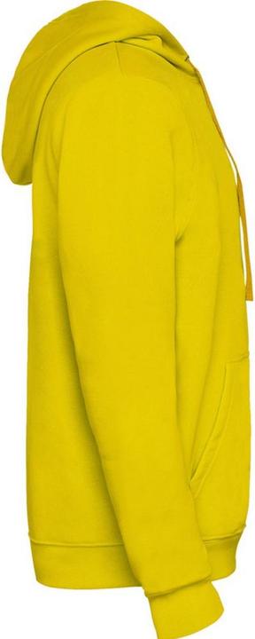 Produktbild Alpinia Urban Kapuzenpullover (M)