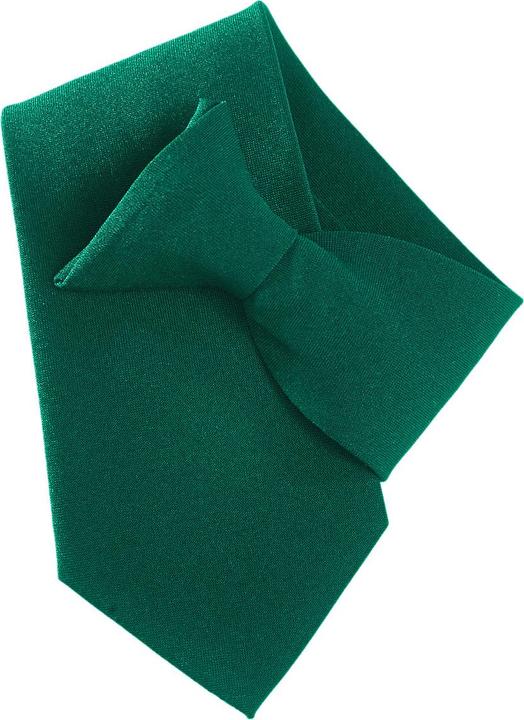 Image du produit Yoko Cravate ClipOn