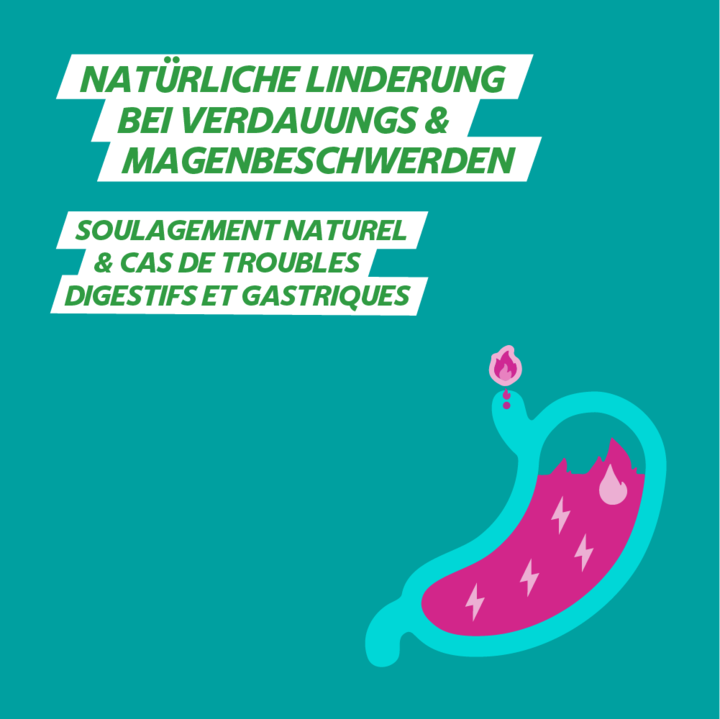 Produktbild GaviNatura Tablette (14 Stück, 86 g)