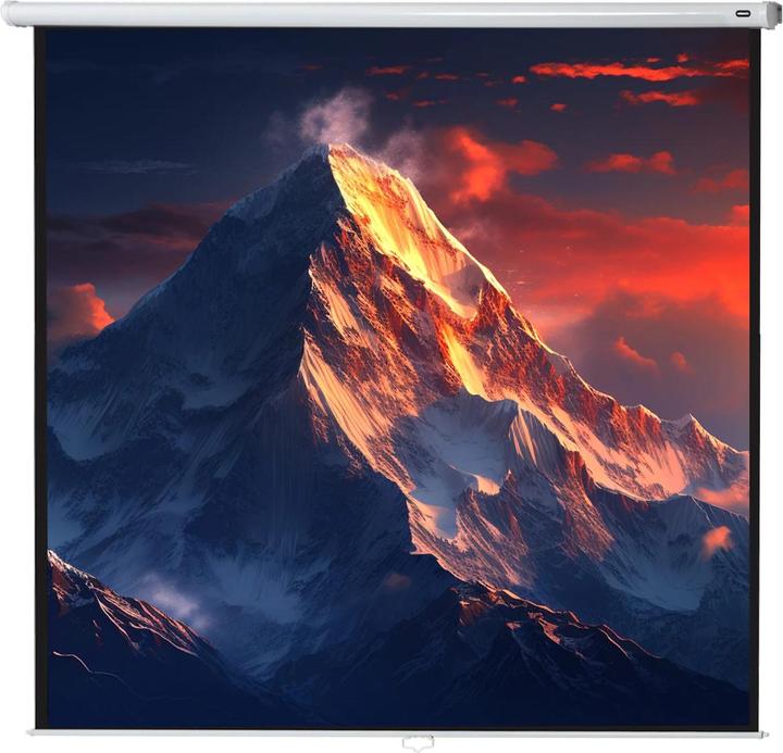 Actual product image Celexon Roller blind Economy, screen, 1:1 (133.86", 1:1)