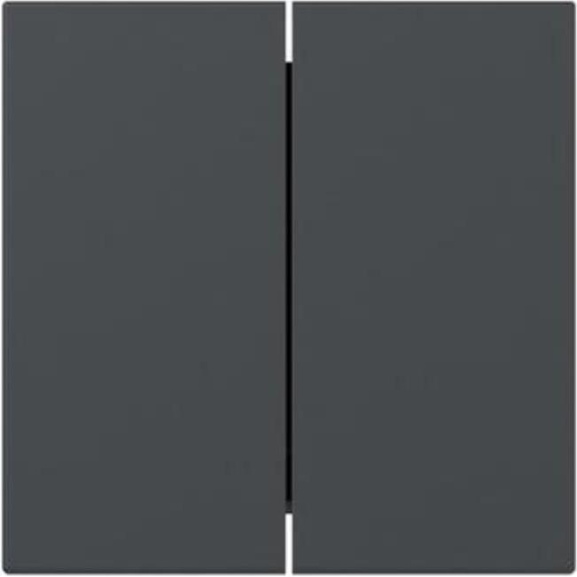 Gira, Programma di commutazione degli accessori, Bilanciere 2f dritto