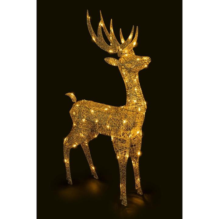 Image du produit STT Floki