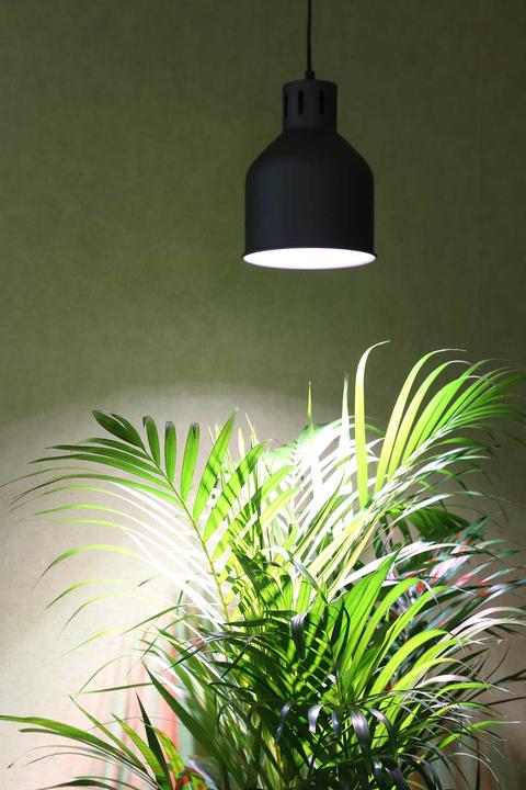 Image du produit Venso Cultiver la lumière en hiver (LED, 245 V)